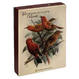 Pomegranate Rothschilds Birds Standard Boxed Note Card 
