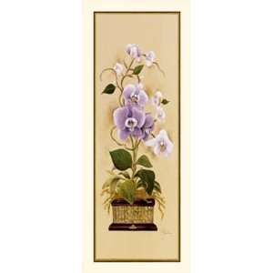  Constance Lael Orchid I 8x20 Poster Print