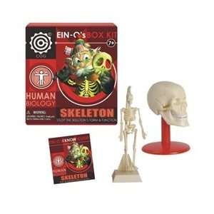 EIN O Science Skeleton Box Kit Toys & Games