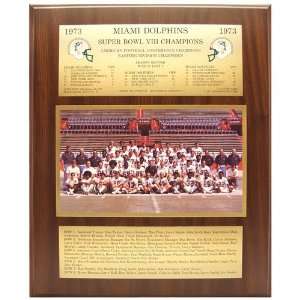 NFL Dolphins 73/74 Super Bowl #8 Plaque 