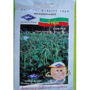  Cow Pea Vegetable Seeds   1 Pack 100 Approximately Seeds 