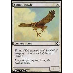  Suntail Hawk (Magic the Gathering   10th Edition   Suntail Hawk 