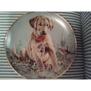  Golden Retriever Puppy Collectible Plate Franklin Mint 