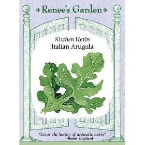  Arugula   Italian Seeds Patio, Lawn & Garden