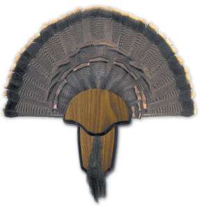 Hunter Specialties  Turkey Tail/Beard Mount Kit  00849  