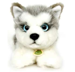 cute siberian husky plush animal toy stuffed pet  