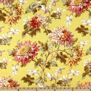   Michael Miller Marlena Apple Fabric By The Yard Arts, Crafts & Sewing
