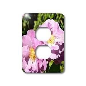   Macro Photography Flowers   Light Switch Covers   2 plug outlet cover