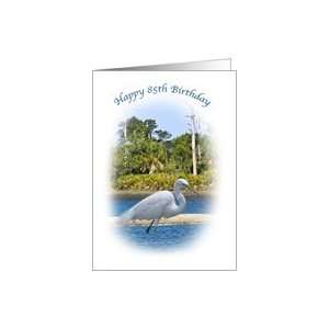  Birthday, 85th, Great White Egret Bird Card Toys & Games