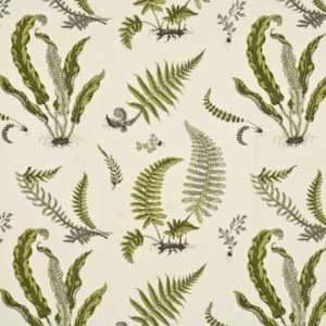  Ferns 1 by G P & J Baker Fabric