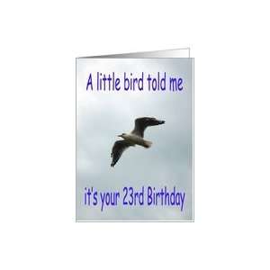  Happy 23rd Birthday Flying Seagull bird Card Toys & Games