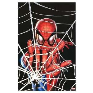  Spider Man Movie Poster, 22.25 x 34