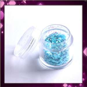   Nail Art Sparkling Glitter Powder Dust Tips Salon Set B0398 Beauty