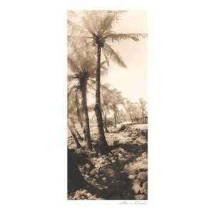 Equatorial Breeze I Poster Print 