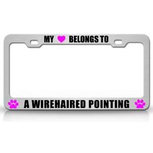  MY HEART BELONGS TO A WIREEHAIRED POINTING Dog Pet Steel 