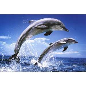  Jumping Dolphins by Bildegentur Mauritius 36x24 Kitchen 