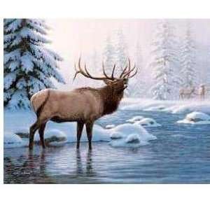  Elk Winter Poster Print