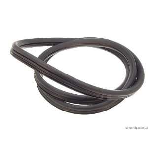  Brazil Windshield Seal Automotive