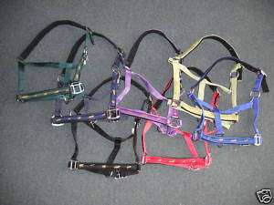 Horse Halter Full Size  