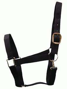 Draft horse size nylon halter. Assorted Colors  