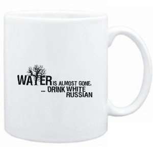  Mug White  Water is almost gone  drink White Russian 