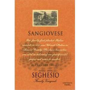  2009 Seghesio Sangiovese 750ml Grocery & Gourmet Food