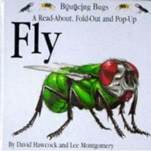  Fly (Bouncing Bugs) (9781857070866) D Hawcock Books