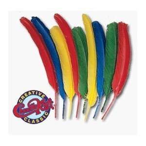  CHENILLE KRAFT QUILL FEATHERS (6) Toys & Games