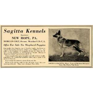  1925 Ad Sagitta Kennels New Hope Morgan Colt Shepherd 