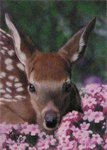 ACEO ART MAGNETIC PRINT FAWN FLOWERS WILDLIFE PATTERSON  