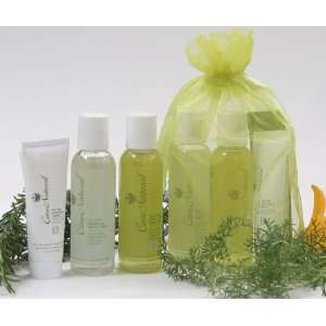 CareNatural Tea Tree Acne Free Skincare Travel Set, Natural & Organic