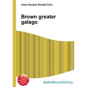  Brown greater galago Ronald Cohn Jesse Russell Books