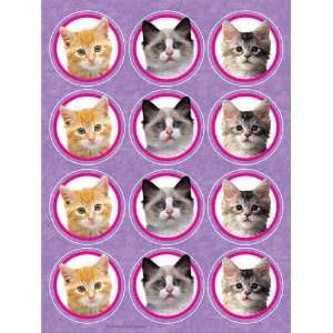  Cuddly Kitten Value Stickers (12pks Case) Arts, Crafts 