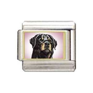  Clearly Charming Rottweiler Italian Charm Jewelry