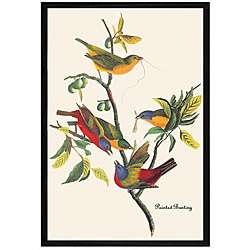 John James Audubon Painted Bunting Framed Print Art  
