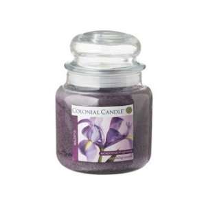  15 Oz Traditions Scented Jar Candle Wild Iris. Wax