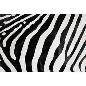  Balck and White Zebra Natural Fur Background   Peel and 
