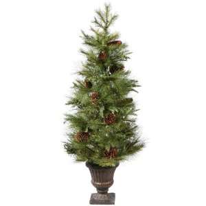  36 Zuni Mix Pine Potted Christmas Tree
