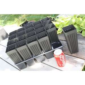  Twenty 8 Mini Tree Pots with tray Patio, Lawn & Garden