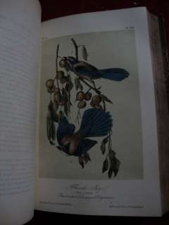 Audubon Birds Of America Complete 7 Vol Set 1861 All 500 Hand Colored 