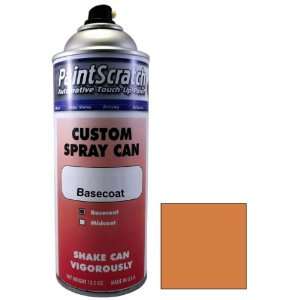 12.5 Oz. Spray Can of Fire Coral Bronze Poly Touch Up Paint for 1974 