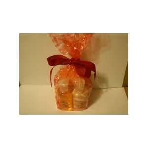   Gift Bag, Containing Lotion, 4oz, Shower Gel, 4 oz, and Poof Beauty