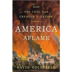 America Aflame How the Civil War Created a Nation (Hardcover) Book