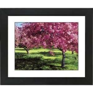   Spring Trees Black Frame Giclee 23 1/4 Wide Wall Art