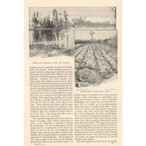   1896 Farming Arid America Irrigation Canals Windmills 
