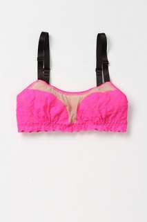 Searing Neon Bralette   Anthropologie