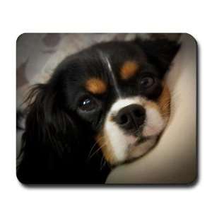  Cavalier King Charles Spaniel Pets Mousepad by  