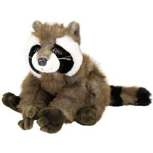  12 Stuffed Raccoon   Baby Romeo Raccoon Toys & Games