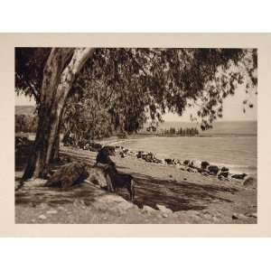  1926 Sea of Galilee Lake of Gennesaret Tiberias Israel 