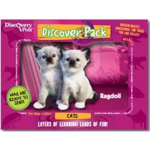  Cat Discover Pack, Ragdoll Toys & Games
